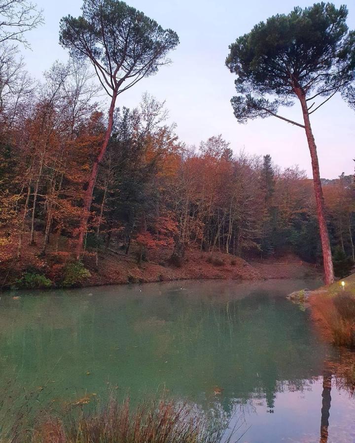 Lebbiano * Scandicci