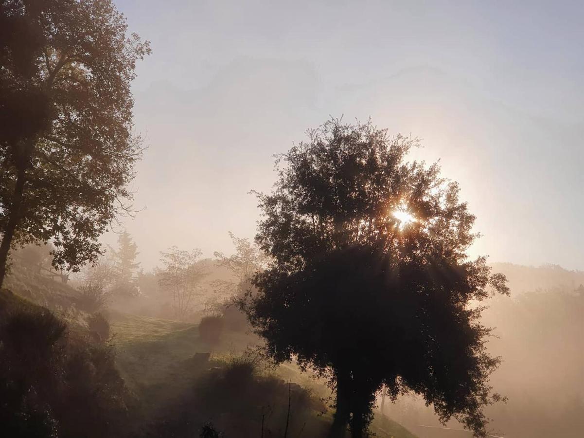 Séjour à la campagne Lebbiano Scandicci